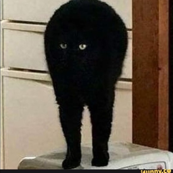 Meet your Posher, Summer - Picture 1 of 1